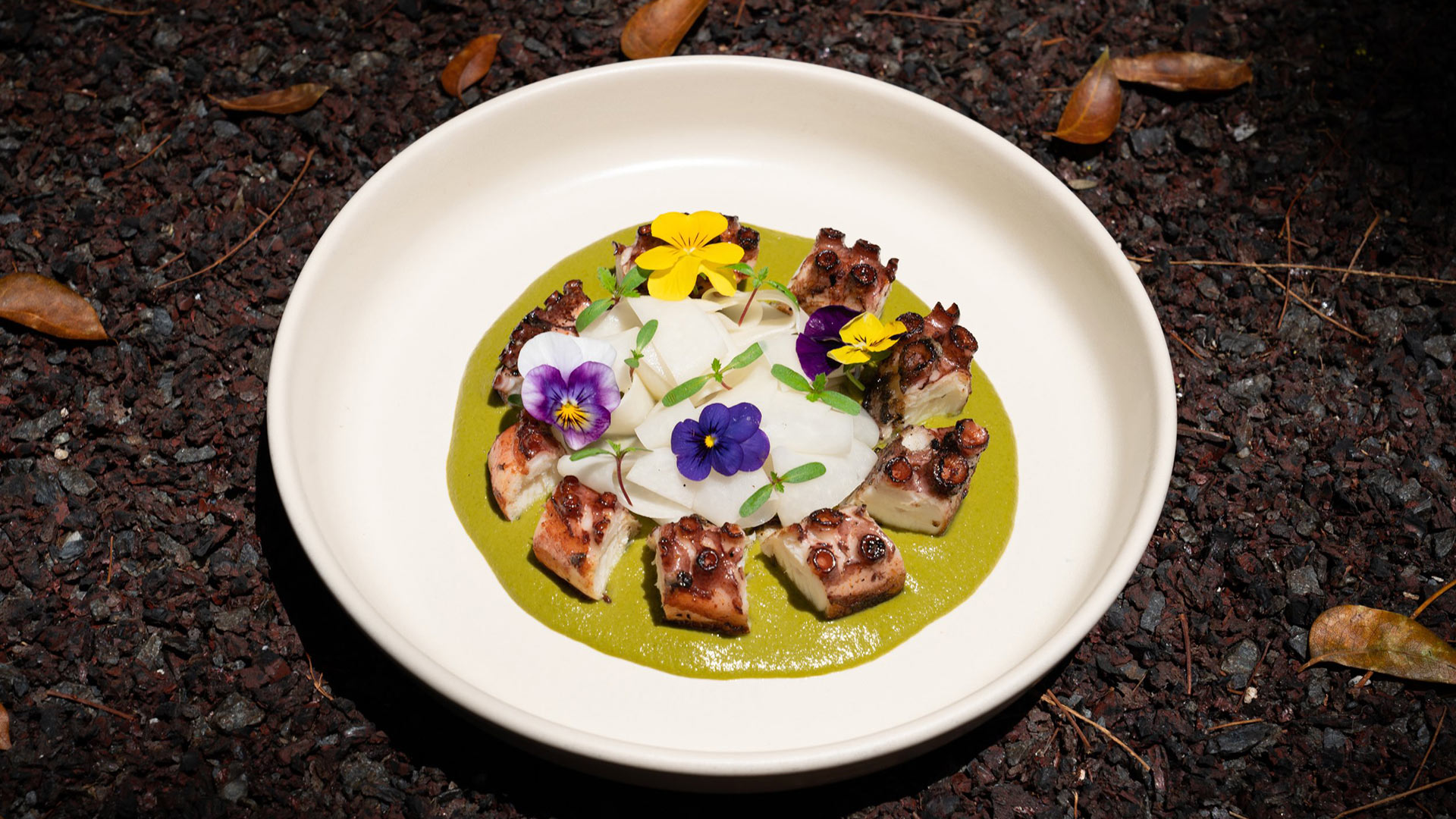 Octopus, salsa verde, plated on soil